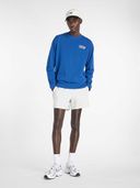 Blue color option, Currently selected