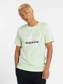 Green color option, Currently selected
