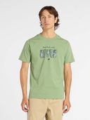 Green color option, Currently selected