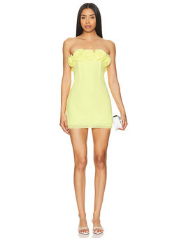 Lovers and Friends - Jemma Mini Dress