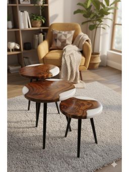 Wewood - Wood & White Epoxy Nesting Tables (Pack Of 3)