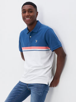 American Eagle - Men Blue Colorblock Polo T-Shirt