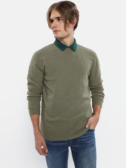 American Eagle - Men Solid Regular Half Sleeves Round Neck Olive T-Shirt
