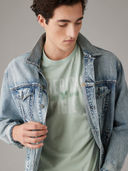 Green color option, Currently selected