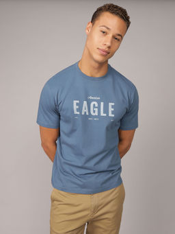 American Eagle - Blue Solid Regular Fit T-Shirt