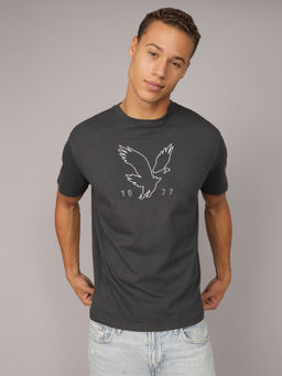 American Eagle - Grey Printed Regular Fit T-Shirt