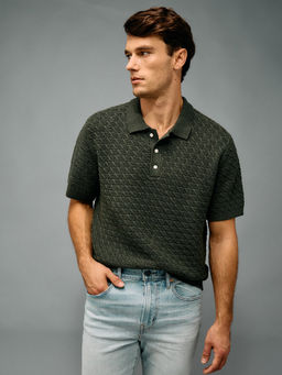 American Eagle - Men Green Cotton Collar Neck Regular Fit Polo T-shirt