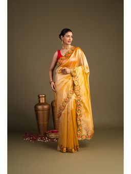Zal from Benaras - Orange Pure Tissue Silk Hand Embroidered Saree without Blouse Piece