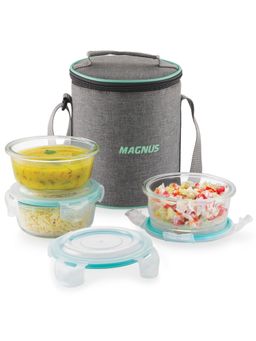MAGNUS - Vivid Glass Lunch Box with Linen Vertical Pouch And Fixed Clip