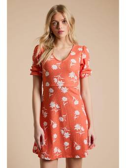 Dorothy Perkins - Daisy V Neck Short Sleeve Mini Jersey Dress