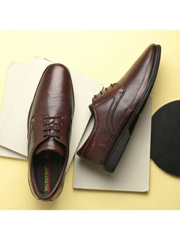 Valentino - Men Premium Maroon Leather Lace-Up Formal Derby Shoes