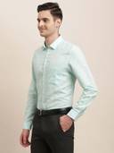 Green color option, Currently selected