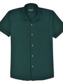 Green color option, Currently selected