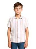 Multi-Color color option, Currently selected