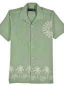 Green color option, Currently selected