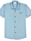Blue color option, Currently selected