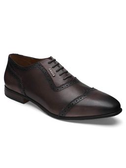 EZOK - Genuine Leather Brown Solid Formal Derby For Men