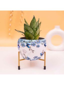 KYARI - Dreamy White & Blue Floral Metal Pot with Stand (Set of 2)