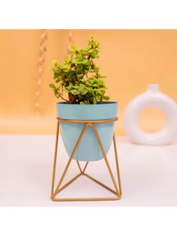 KYARI - Vanessa Sky Triangular, Metal Oblong Pot with Stand & Planters (Set of 2)