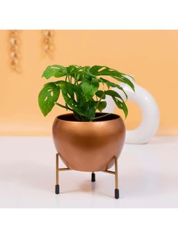 KYARI - Joyeria Metal Pot with Stand (Set of 2)