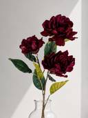 Red color option