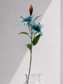 Blue color option, Sold out