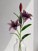 Purple color option, Currently selected