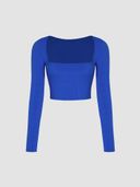Blue color option, Currently selected