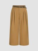 Tan color option, Currently selected