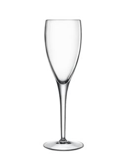 Luigi Bormioli - Michelangelo Champagne Glass, Set of 6 for thinKitchen