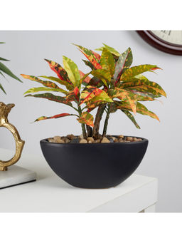 HomeTown - Ilana Faux Codiaeum Ceramic Potted Plant 29 Cm in Green Colour