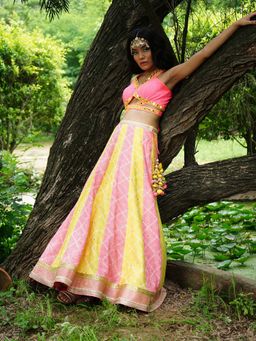 AVNNI KAPUR - Woven Phulkari Lehenga with Crepe Mirror Work Choli (Set of 2)