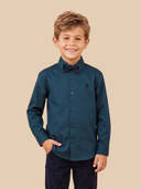 Teal color option, Currently selected