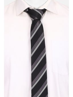 Louis Philippe - Men Multicolor Stripe Tie