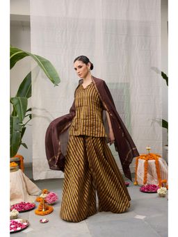 Raas Life - Amala Brown Chanderi Stripes V Neck Kurta