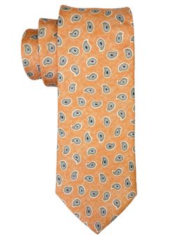 The Tie Hub - Orange Paisley Silk Neck Tie For Men