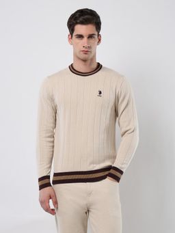 U.S. POLO ASSN. - Men's Vertical Striped Patterned Knit Sweater
