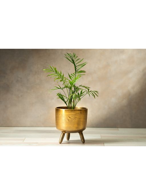 SG Home Rustic Gold Planter