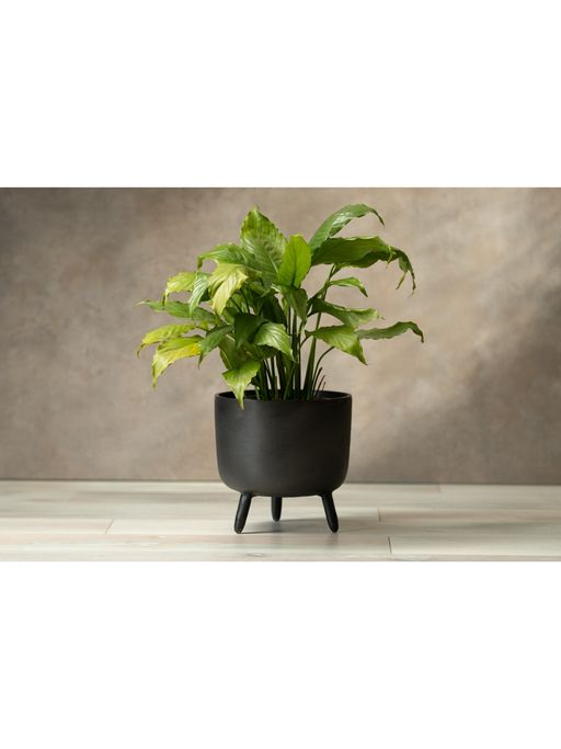 SG Home Rustic Black Planter