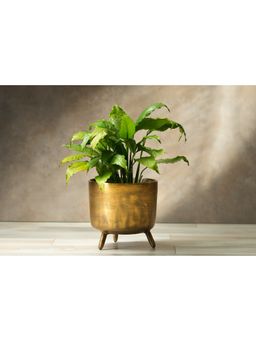 SG Home - Rustic Gold Planter