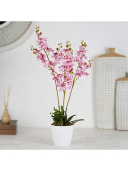 HomeTown - Ilana Artificial Orchid Potted Plant 60 cm In Pink Colour