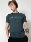 Teal color option, Sold out