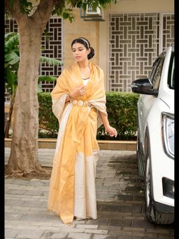 Uttaraa - Womens Tissue Colorblock Woven Gold Saree with Unstitched Blouse