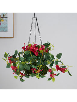 HomeTown - Ilana Faux Hanging Bougainvillea with Pot 54 Cm in Red Colour