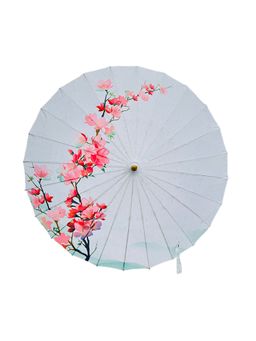 Little Surprise Box - Teal and Pink Floral Chinese Canopy Style Rain and All Season Umbrella