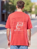 Pink color option, Currently selected