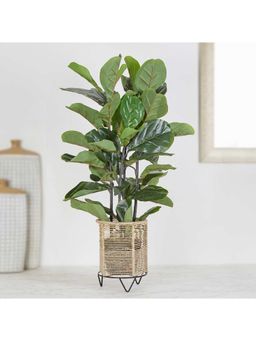 HomeTown - Ilana Artificial Fiddle Potted Plant 90 cm In Green Colour