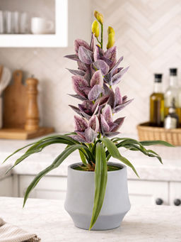 Aarvi Decor - Purple Silk Velvet Orchid Elegance Pot With Flower