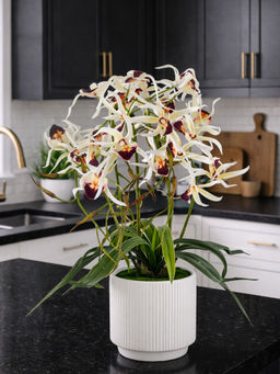 Aarvi Decor - White Silk Elegant Star Orchid Arrangement Pot With Flower