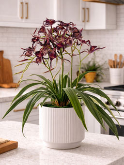 Aarvi Decor - Red Silk Elegant Star Orchid Arrangement Pot With Flower